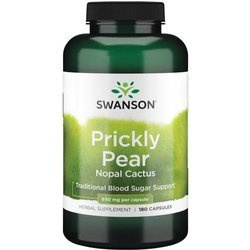 Prickly Pear Nopal Cactus